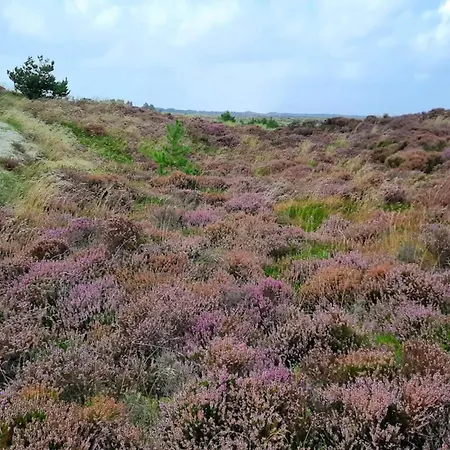 6 Person In Henne-by Traum