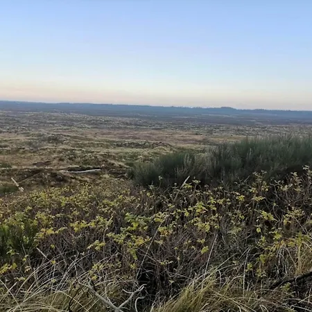 6 Person In Henne-by Traum Casa de Férias Henne Strand