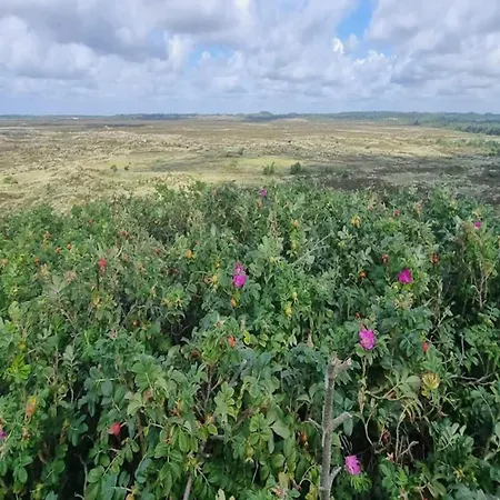 6 Person In Henne-by Traum Casa de Férias