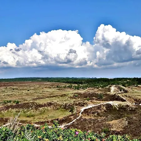 Casa de Férias 6 Person In Henne-by Traum *