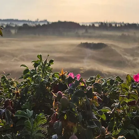 6 Person In Henne-by Traum Casa de Férias Henne Strand