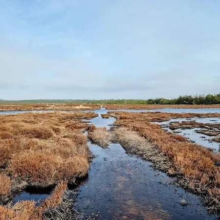 6 Person In Henne-by Traum * Henne Strand