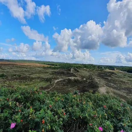 Casa de Férias 6 Person In Henne-by Traum