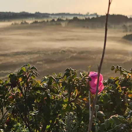 6 Person In Henne-by Traum * Henne Strand