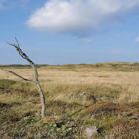 Casa de Férias 6 Person In Henne-by Traum