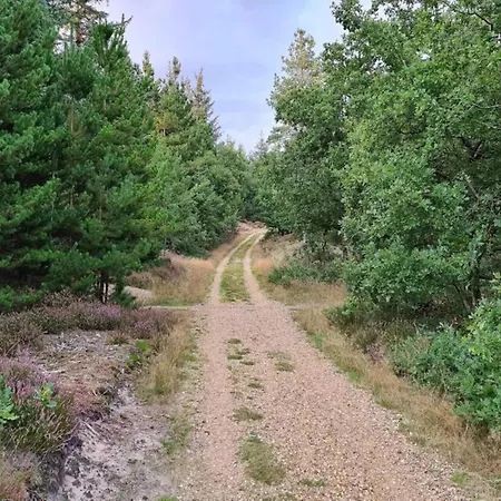 6 Person In Henne-by Traum