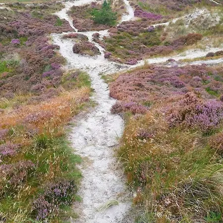 Casa de Férias 6 Person In Henne-by Traum Henne Strand