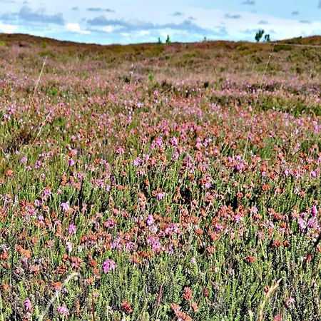 6 Person In Henne-by Traum Casa de Férias