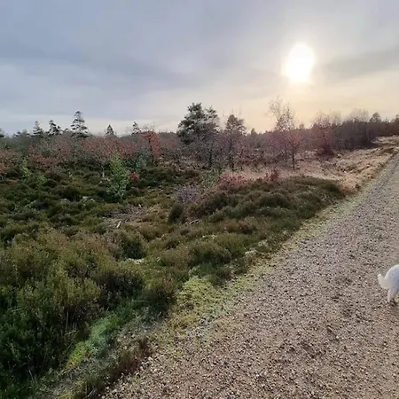 6 Person In Henne-by Traum *